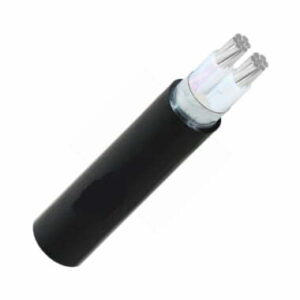 Cáp điện 2 lõi nhôm Cadivi AXV/DSTA-2×185 mm2 – 0.6/1kV