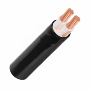 Cáp điện 2 lõi Cadivi CXV-2×120 mm2 – 0.6/1kV