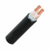 Cáp điện 2 lõi Cadivi CXV/DSTA-2×6 mm2 – 0.6/1kV