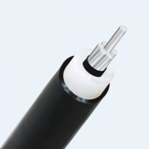 Cáp trung thế nhôm Cadivi AX1V/WBC-35 mm2 – 12/20(24) kV