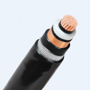 Cáp trung thế đồng Cadivi CXV/S/AWA-500 mm2 – 12/20(24) kV