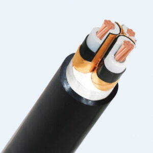 Cáp trung thế đồng Cadivi CXV/SE-3×50 mm2 – 12/20(24) kV